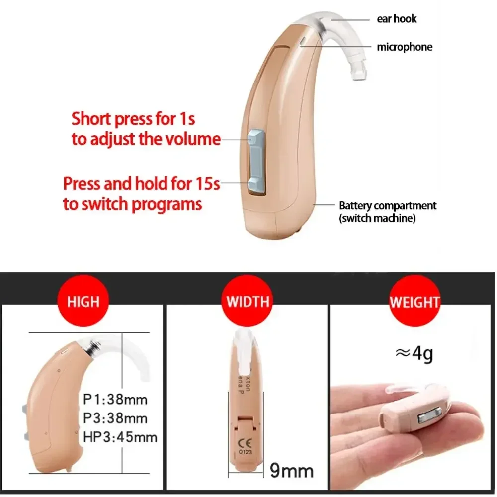 Rexton Arena Bte He…