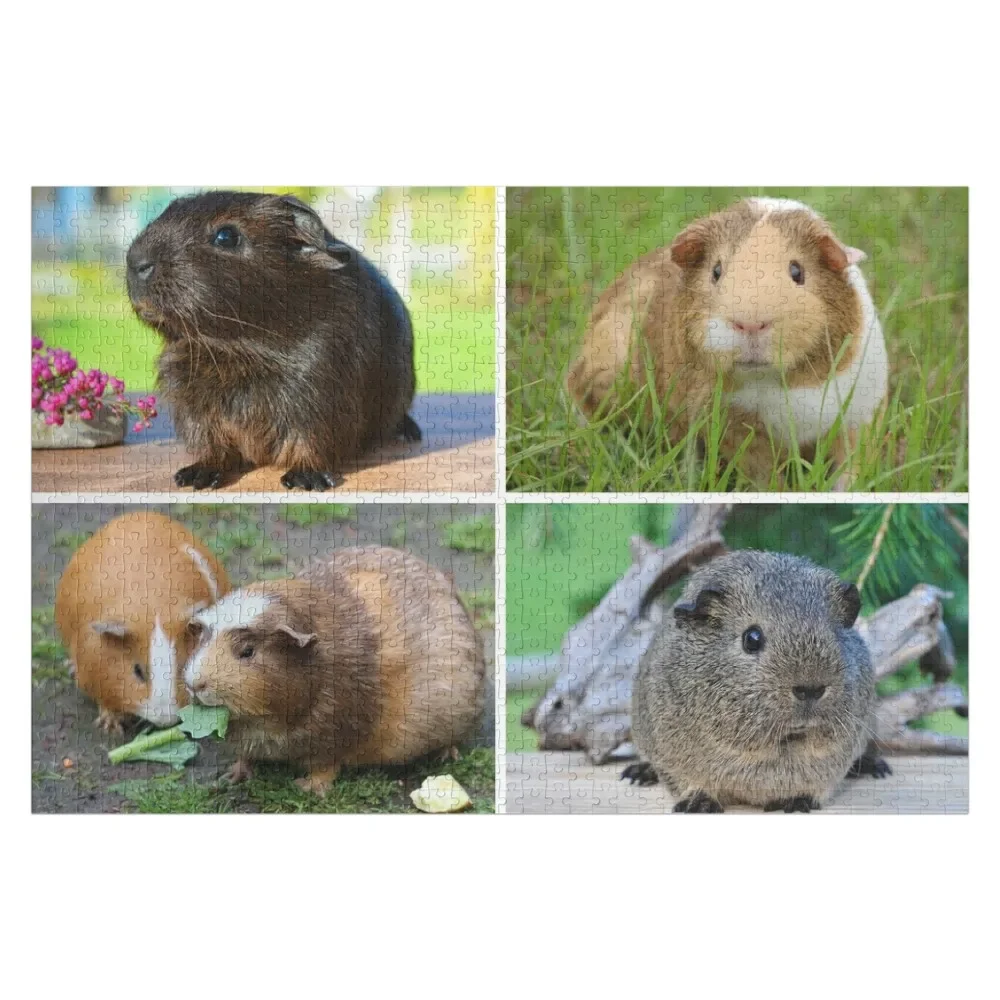 

Cute Guinea Pigs - Four in One Jigsaw Puzzle Custom Name Wood Custom Kids Toy Children Customized Toys For Kids Puzzle