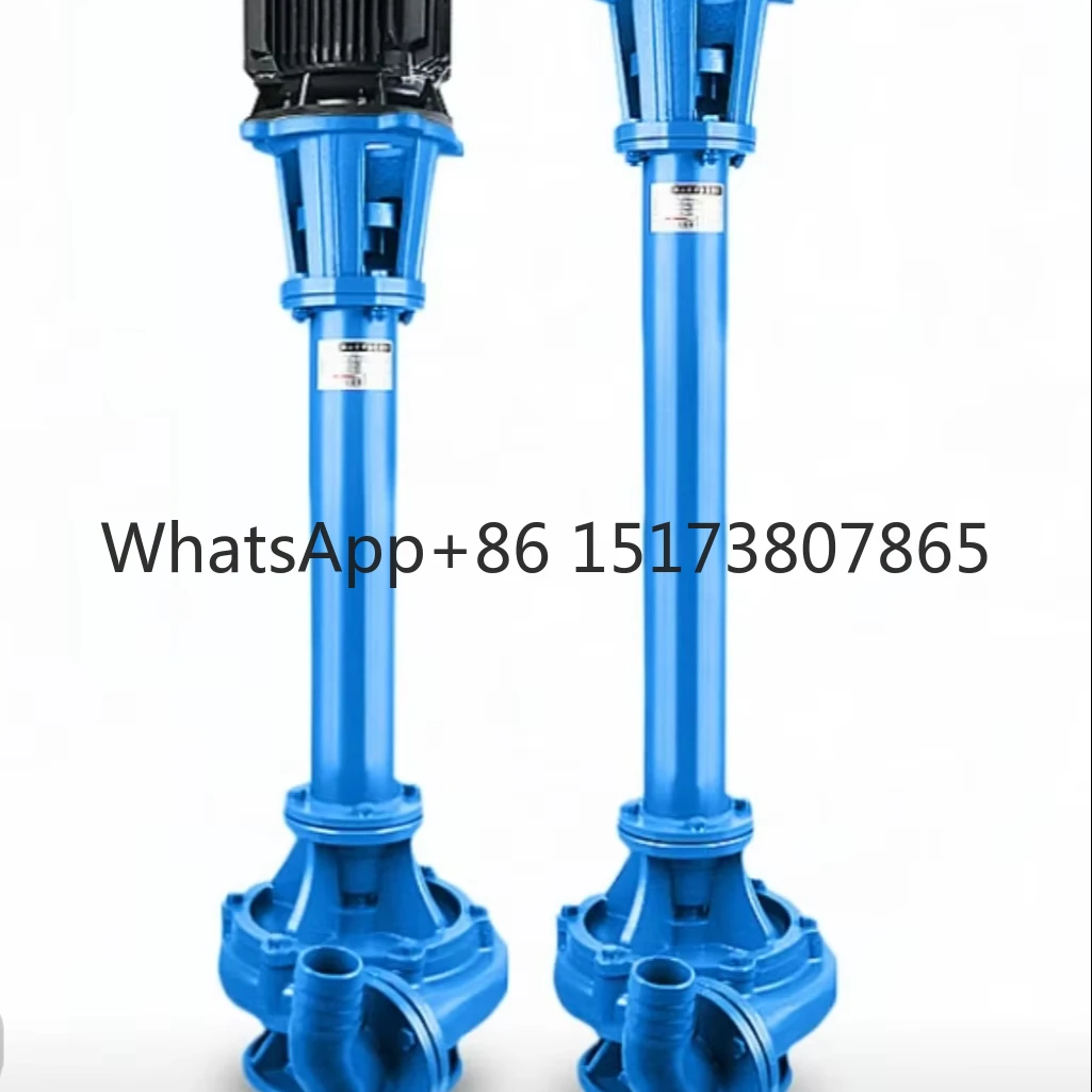 

Vertical Submersible Slurry Pump