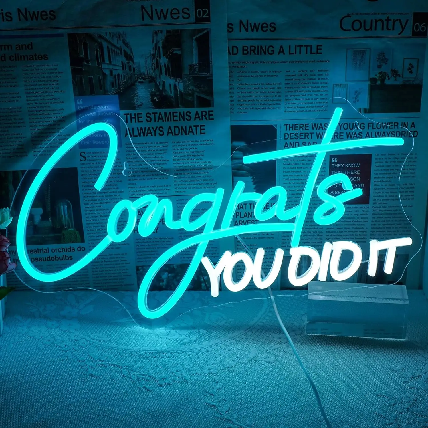 

Congrats You Did It Neon Sign Graduation Decor Adjustable Blue White LED lights for Party College High School Class Graduation G
