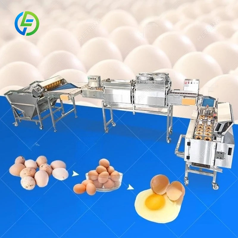 FL Customized Household Small Egg Washing Line Portable Automatic Egg Washing Machine Chicken Egg Cleaner Poultry Farm Tool
