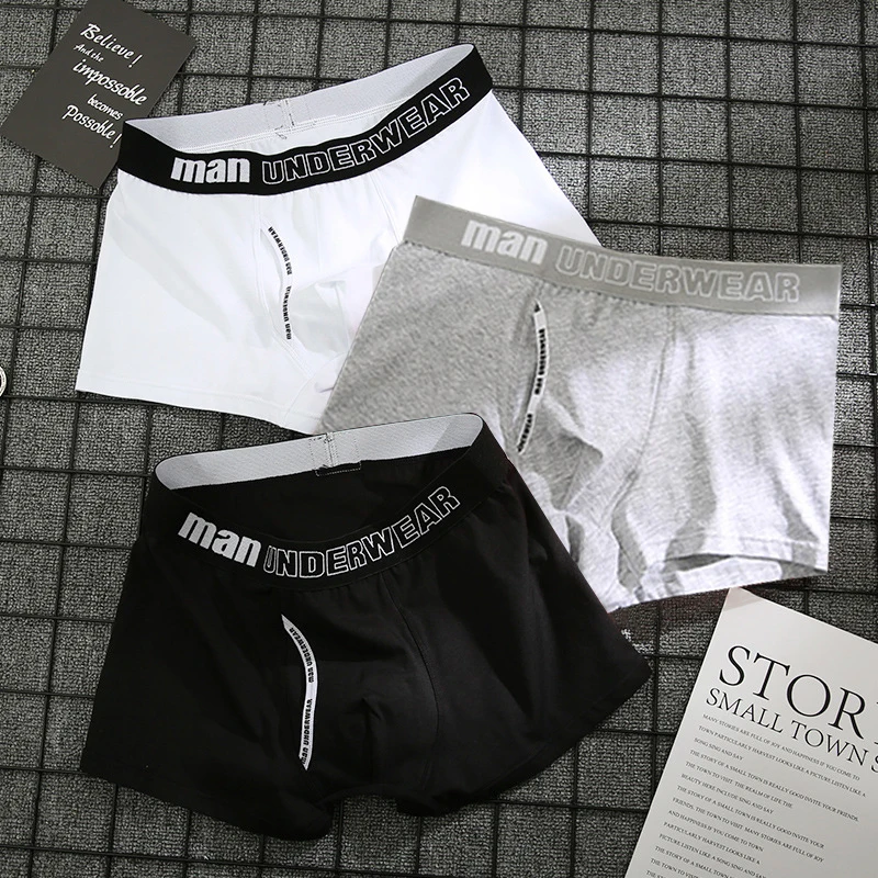 Boxer Men Underwear Sexy Knickers for Men Under Wear Cotton Underpants Male Panties Shorts Boxers Shorts High Quality Lingerie