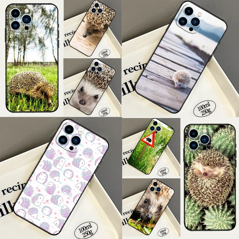 Prickly Hedgehog Ca…