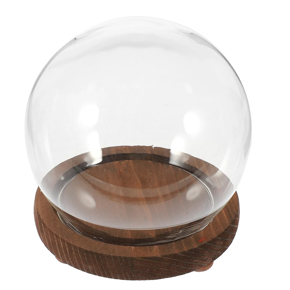 Decorate Spherical Glass Cover Table Top Display Case Wood Preserved Flower Covers