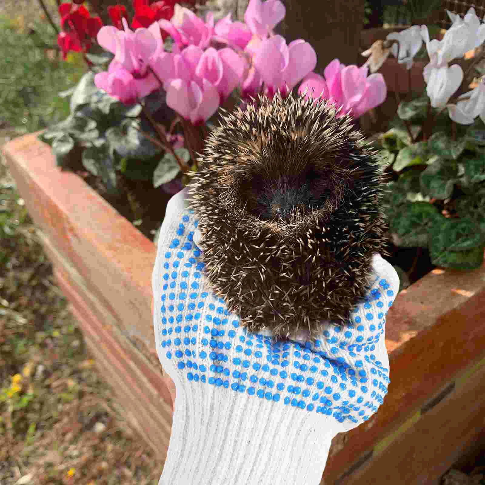 Jäten Handschuhe Fäustlinge Tiere Handhabung Schutz Anti-scratch Anti-biss Pet