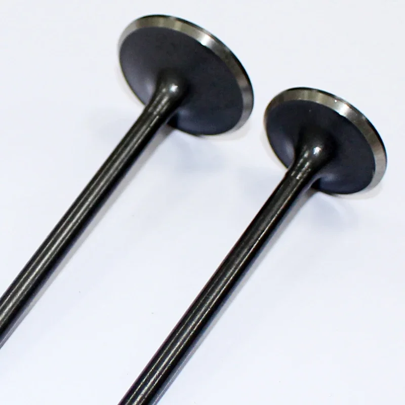 

Motorcycle Valves Stem for Haojue SUZUKI Qingqi AN125 HS125T HJ125 Scooter Water-Cooling Engine Parts Intake and Exhaust Valve