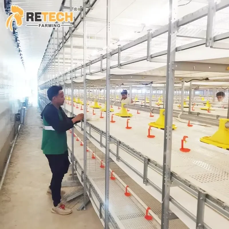 High-capacity Automated 4-Tier Chain Broiler Harvesting Cage for Poultry House Raising Equipment in the Philippines