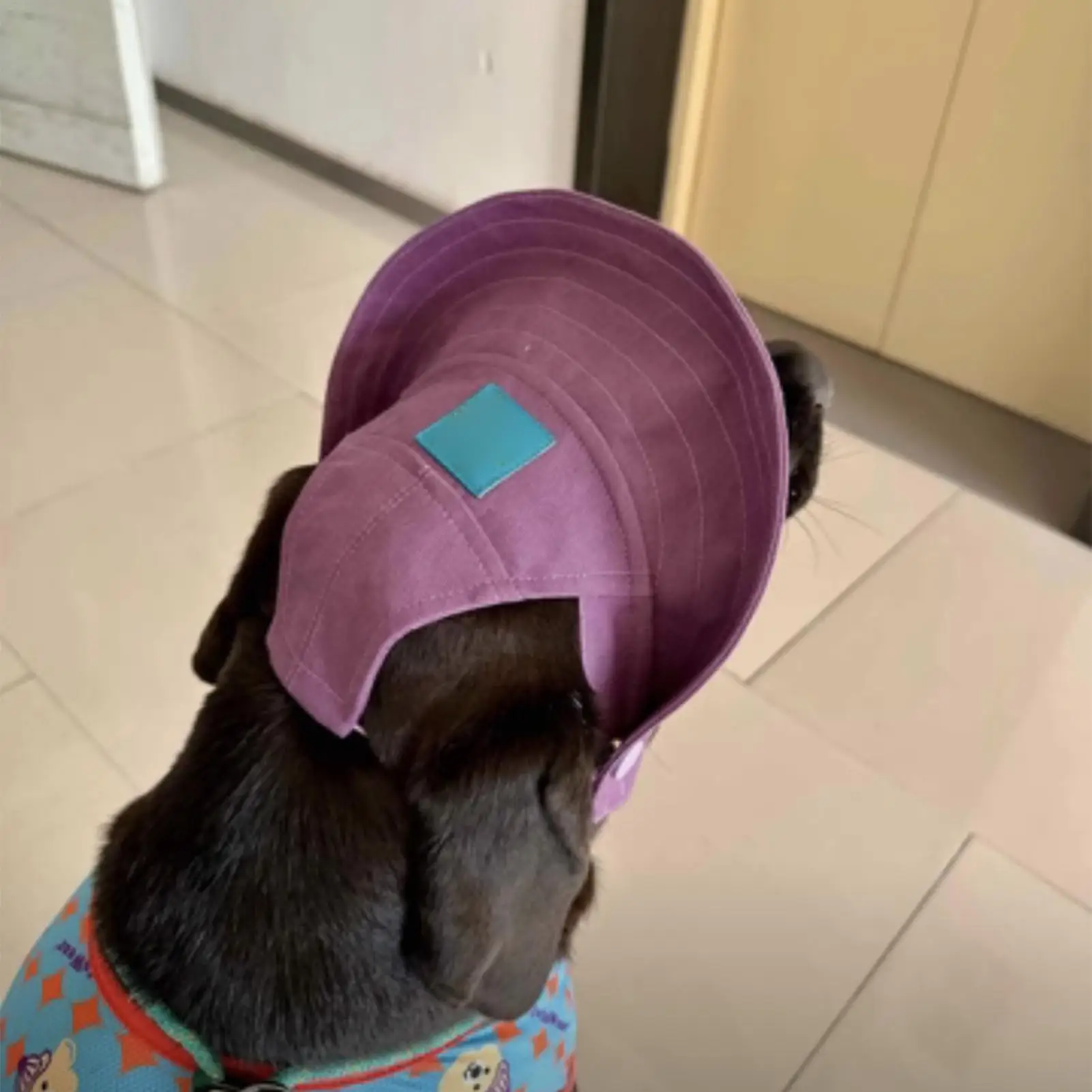 Cat Sun Hat Breathable Wide Brim UV Protection Headwear Pet Hat with Ear Holes for Outdoor Summer Climbing Sports Vacation