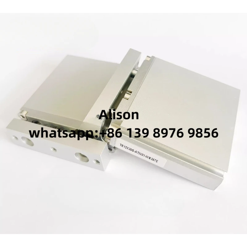 Customize produce pneumatic cylinder TR12X30S-ATW01-WN357E