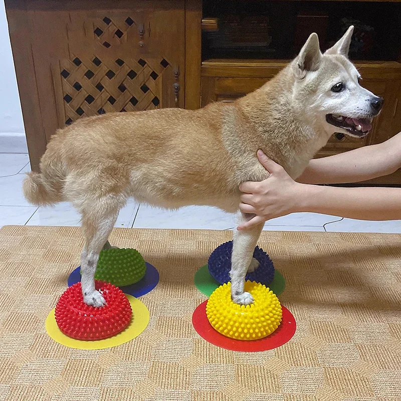 Muscle Atrophy Surgery Knee Patella Lumbar Spine Pet Product AVC Pet Dog Paw Pad Hemispherical Training Nerve Balance Correction