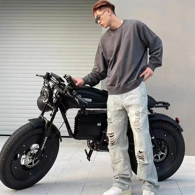 1500W 48V60AH Black Warrior Motorbikes 20inch Fat Tyre Electric Bike Adult Road Hydraulic brake E-bike Adult Road  Electric Bike image 5