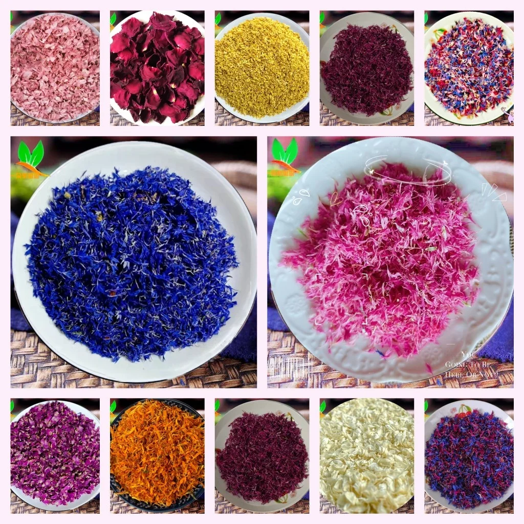 l Bloemblaadje Suower DIY Aromatherapie Kaars Handgemaakte Decoratieve Multi-color Droge Bloemblaadjes Woondecoratie Benodigdheden