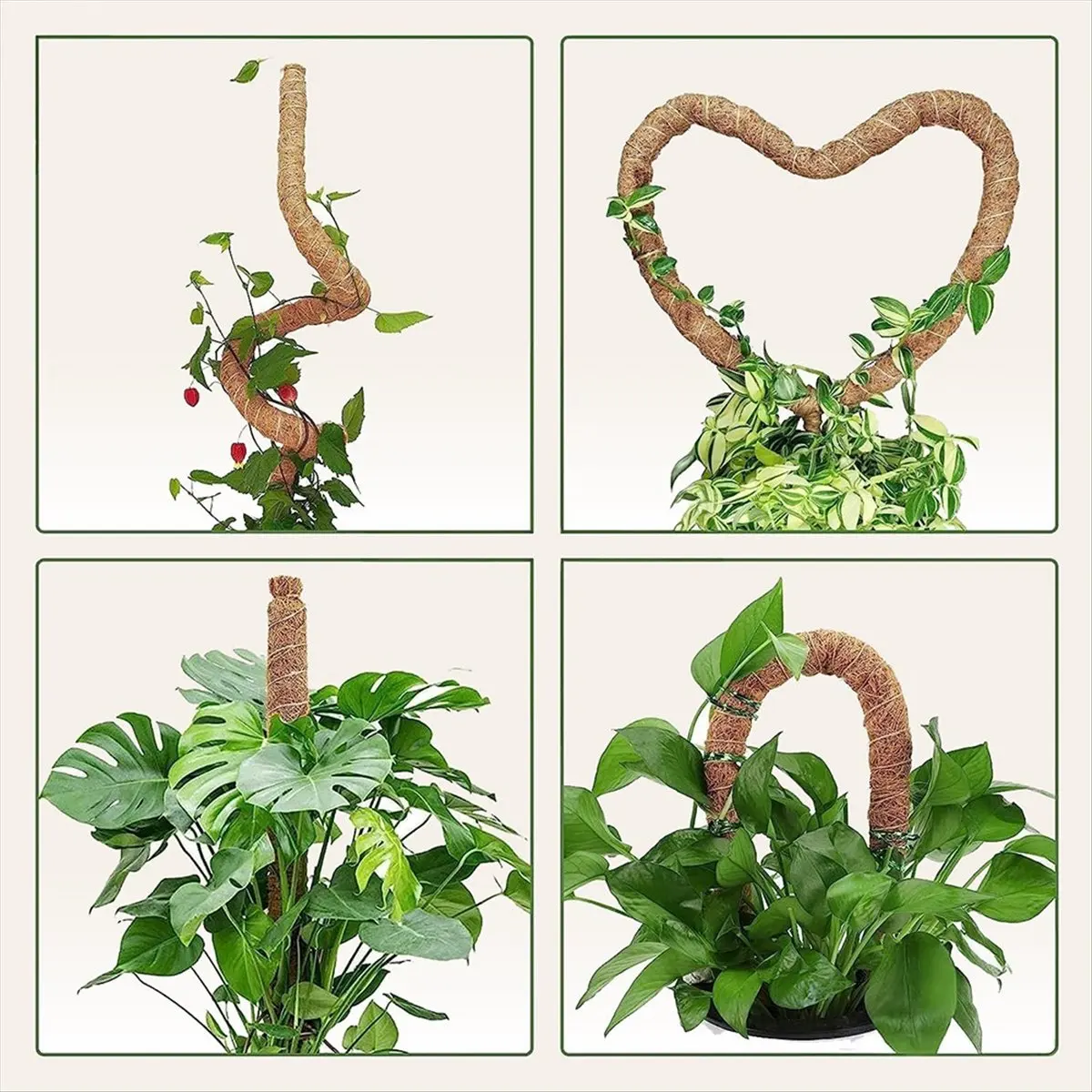 (ABAB) Moss Pole Monstera Plant Support,Bendable Plant Stakes for Indoor Plants, Plant Sticks Support for Climbing Plant 2 Pack