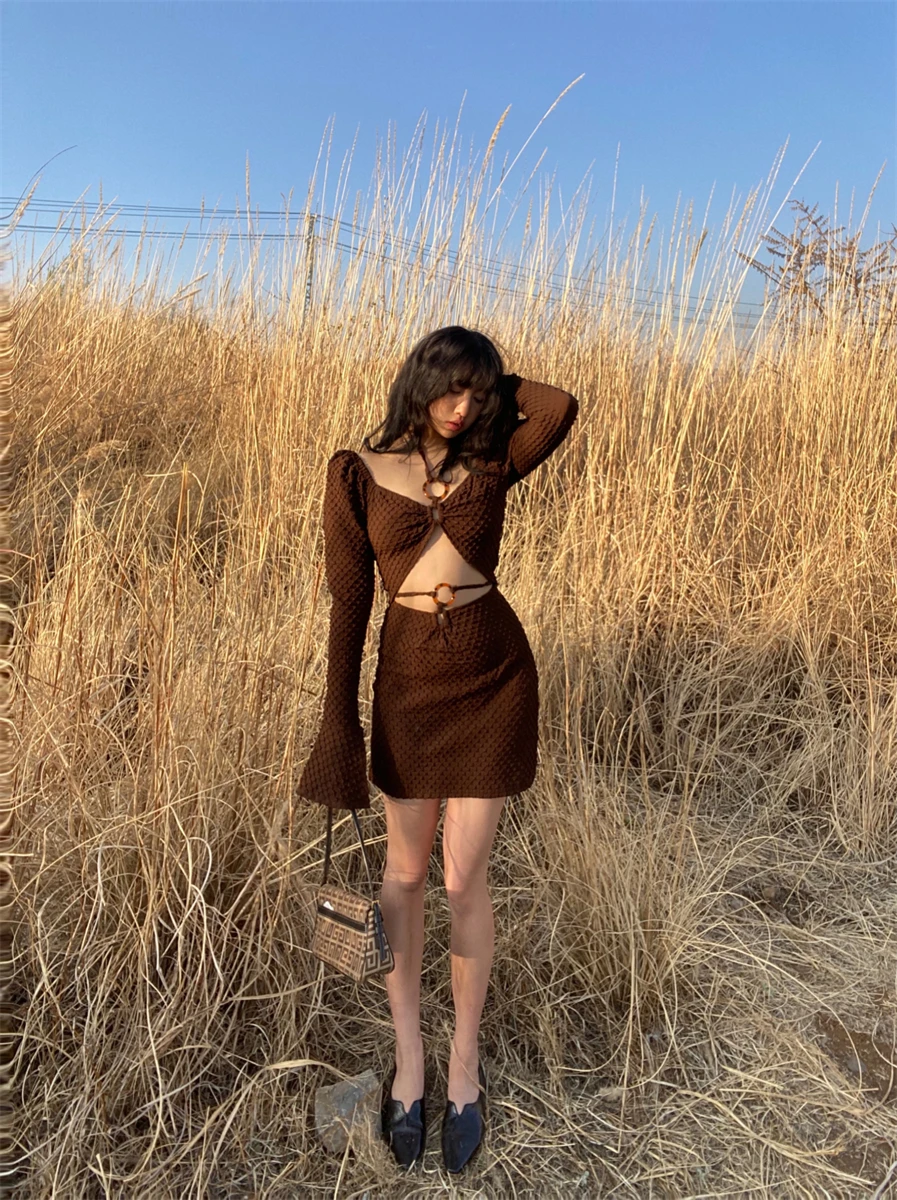 Two-Piece Set Small Chrysanthemum Streamer Coffee Brown Jade Ring Skirt Pleated Texture Fabric Irregular Bow Tie Flared Sleeves