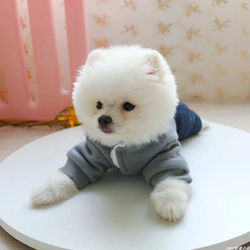 1PC pet clothes cat winter thickening powder blusher flower bear cotton padded jacket suitable for small and medium-sized dogs