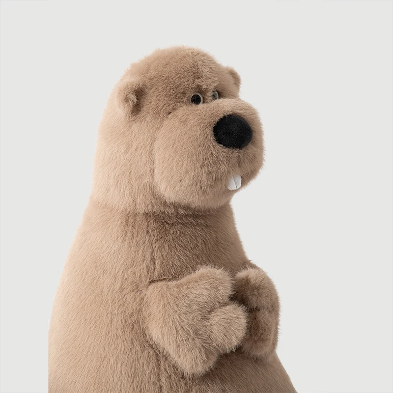 

2025 hot sale groundhog Cocoboba LOOKME series, pillow doll sleeping funny plush birthday gift for girlfriend