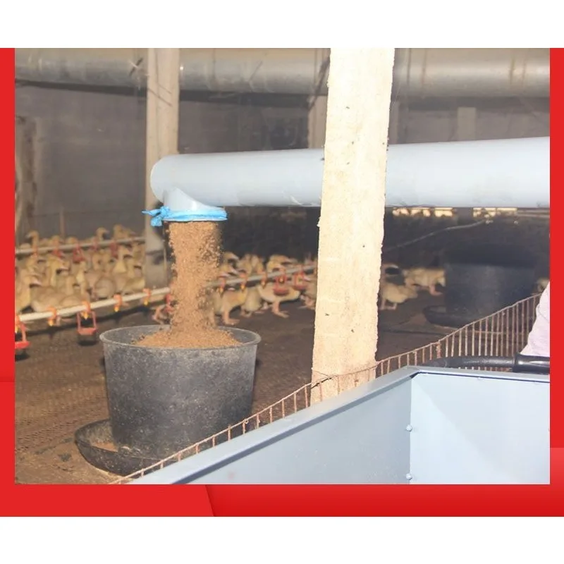 Duck farm automatic feeder, electric feeder y