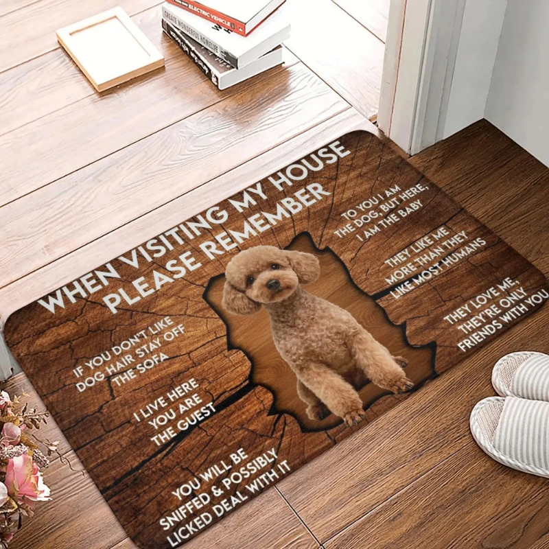 When Visiting My House Please Remember Dog Cat Doormat Non-Slip Entrance Mat Indoor Kitchen Rug Pet Lover Gift for Bedroom Floor