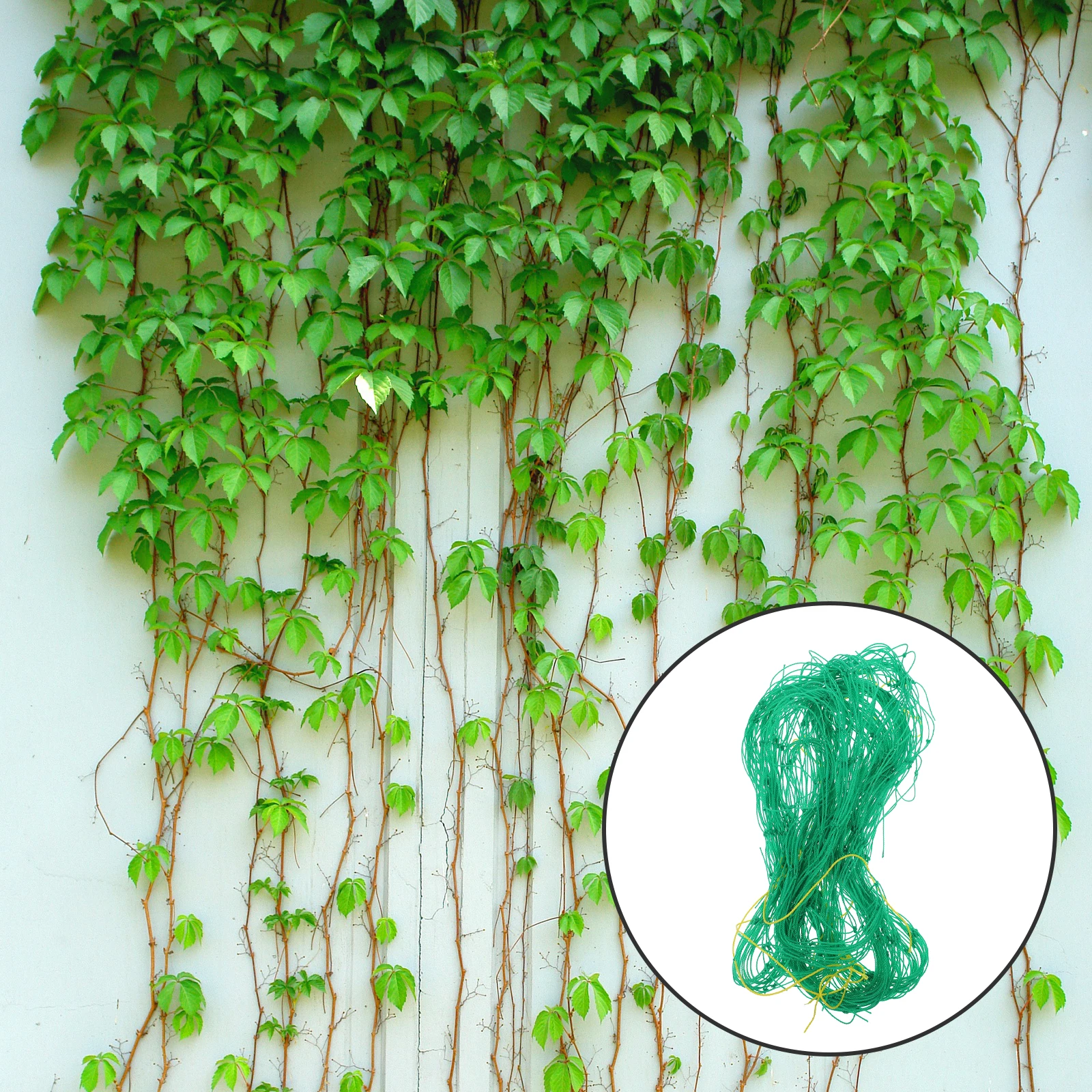 

Climbing Beef Netting Cucumber Trellis Garden for Plants Deer Fence Flowers