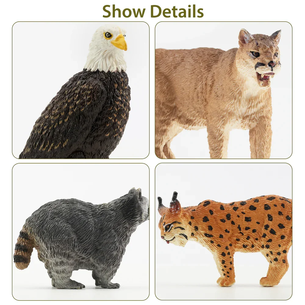 12Pcs Toymany Simulation Forest Wildlife Animal Figures Dolls Action Figurines Toys Children Gift Cake Decoration