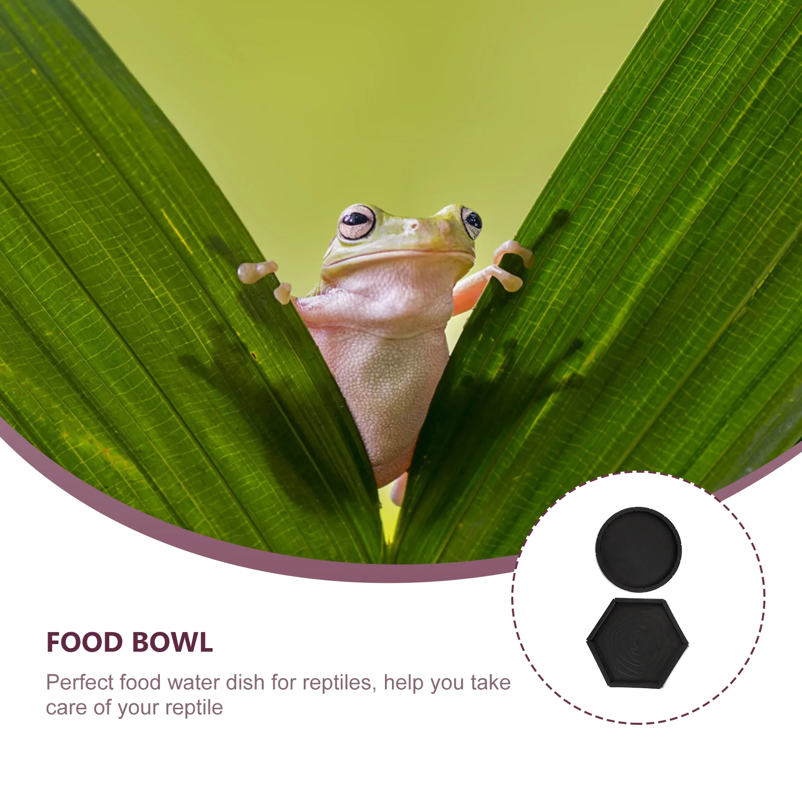 

2pcs Reptile Food Water Dish Large Capacity Escape-Proof Feeder Bowl For Lizard Gecko Spider Pet Feeding Container Reptile