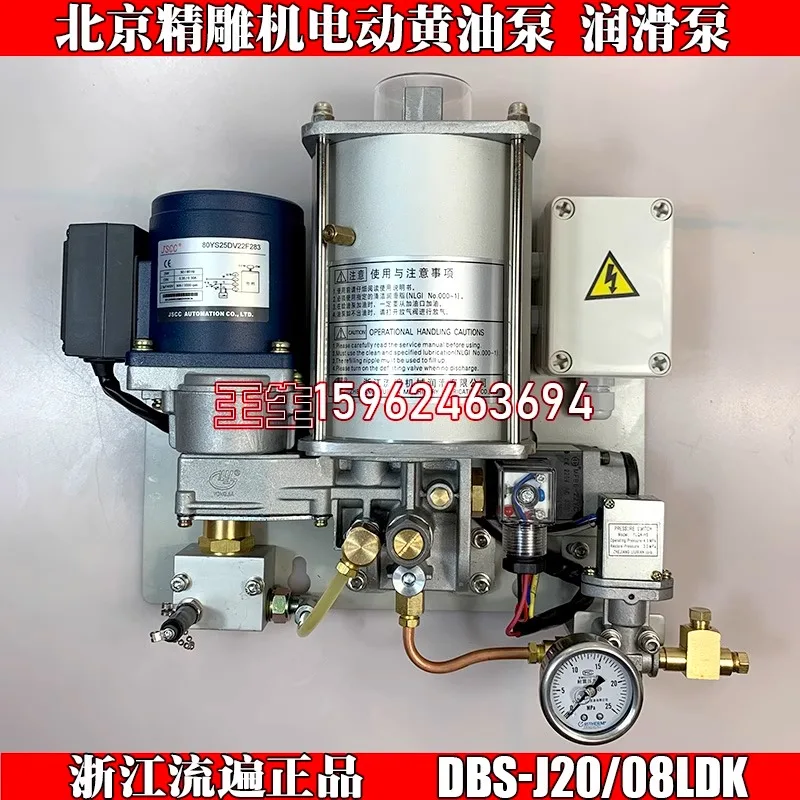 Zhejiang Liufan Electric Pre pressure Oil Lubrication Pump Beijing Jingdiao Machine 220 Butter Pump DBS-J20/08LDK