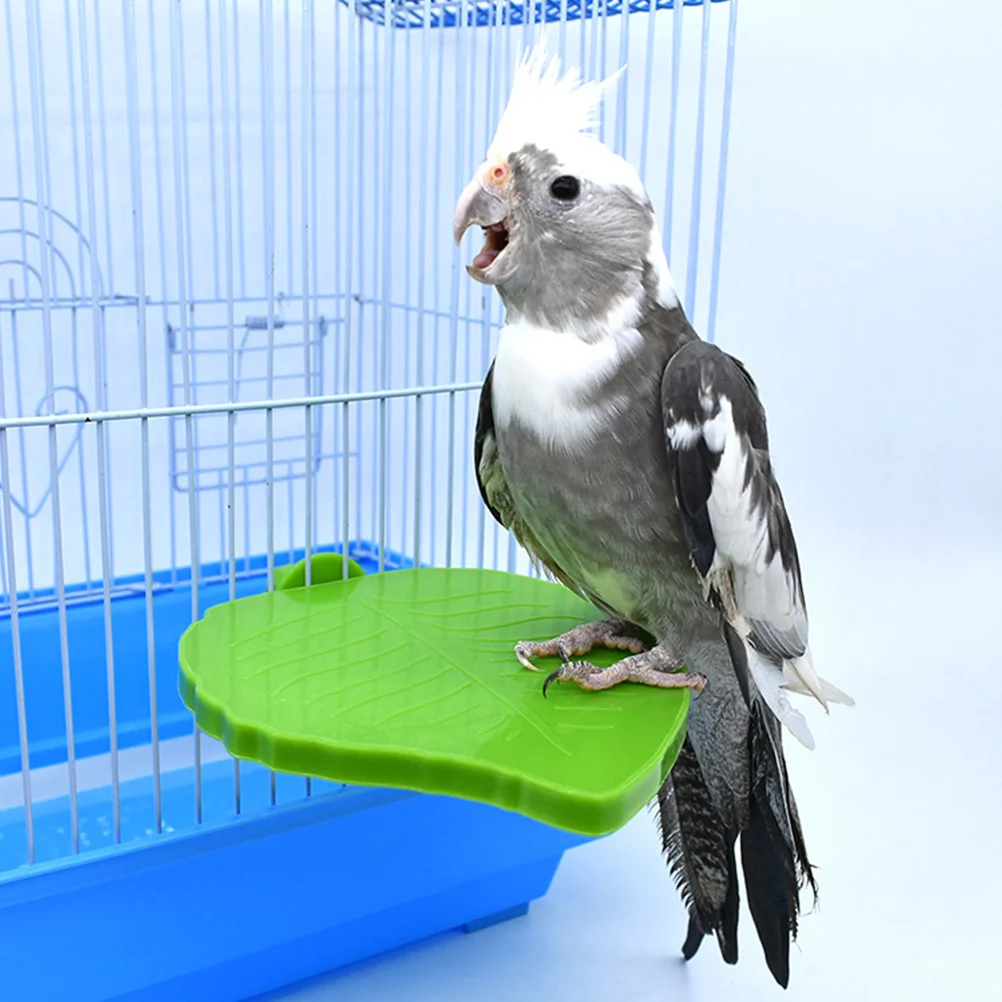 

Parrot Platform Playground Bird Toys Cages Birdcages Pet Cockatiel Accessory Exercise