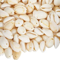 100Pcs Cowrie Shell Beads Bulk Shell Beads with Double Holes Small Summer Seashell Ocean Animal Old Lace Spacer Charm making kit
