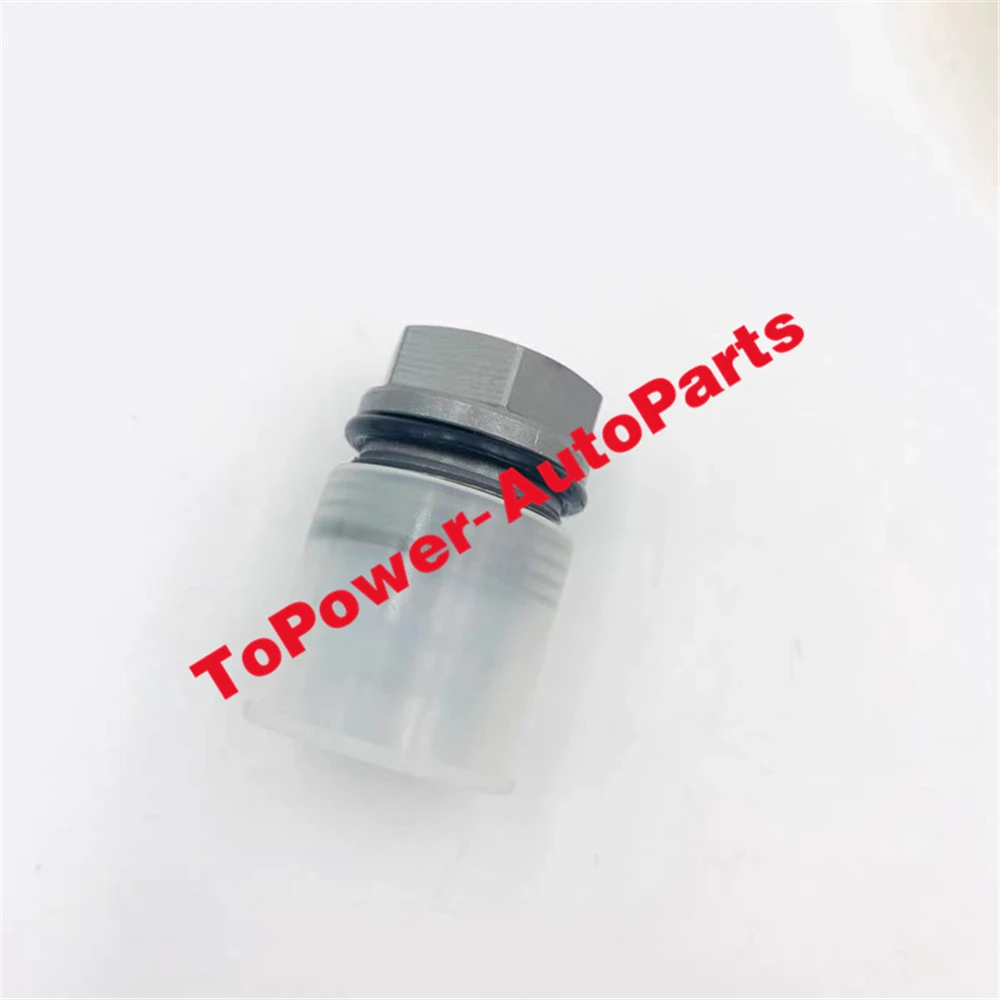 Fuel Common Rail Pressure Relief Limiter Valve OEM 1110010041