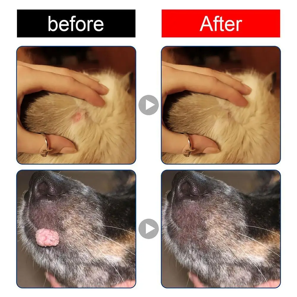 Pets Dog Wart Remover Natural Painless Animal Warts Care Supplies Cleaning Liquid Tag Treatment Skin Pet Warts Eliminate Mo V3D3