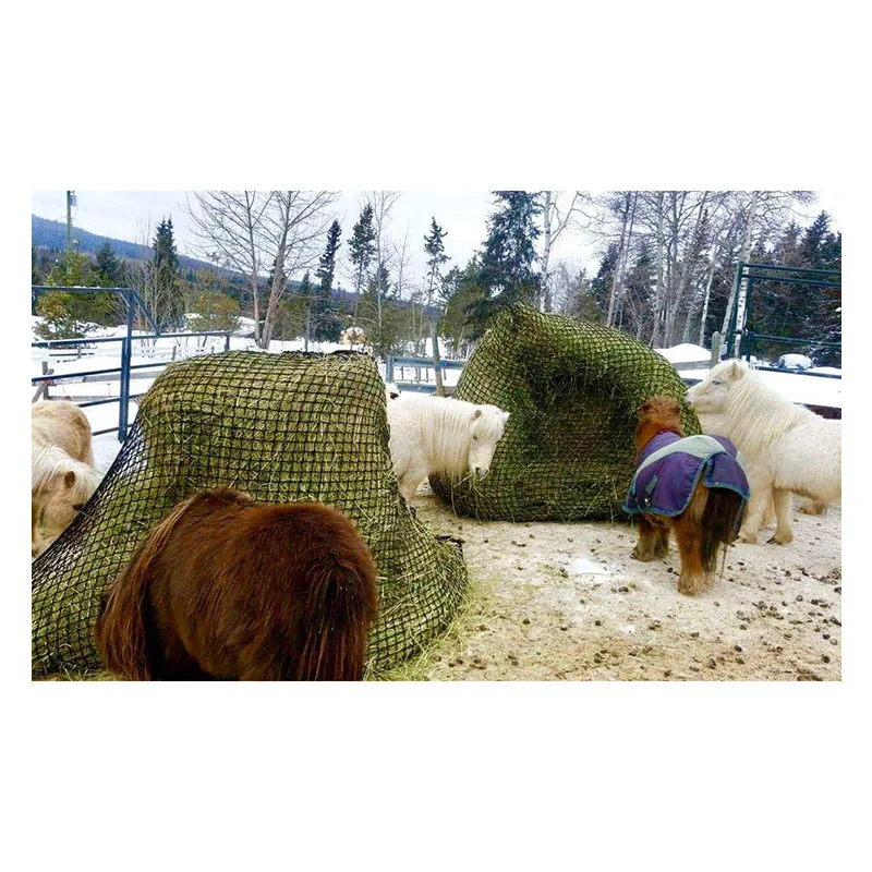 2025 Round Bale Hor… - image