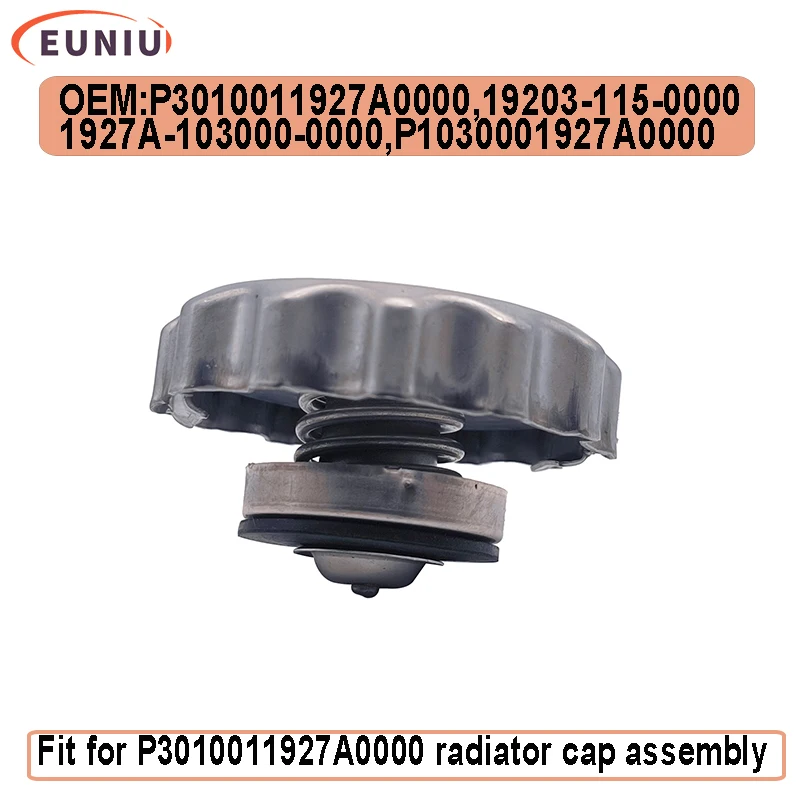Water Tank Cover Assembly HISUN P3010011927A0000