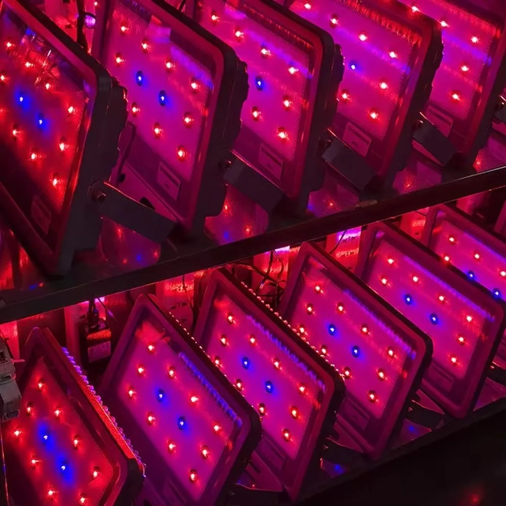 Best Selling Hydroponic LED Grow Light High Quality Full Spectrum Plant Growth Lamp for Indoor Garden Harvest