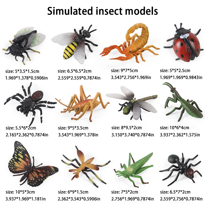 Children'S Simulation Insect Models, Animal Toys, Bees, Butterflies, Grasshoppers, And Other Children'S Toys, As Well As Cogniti