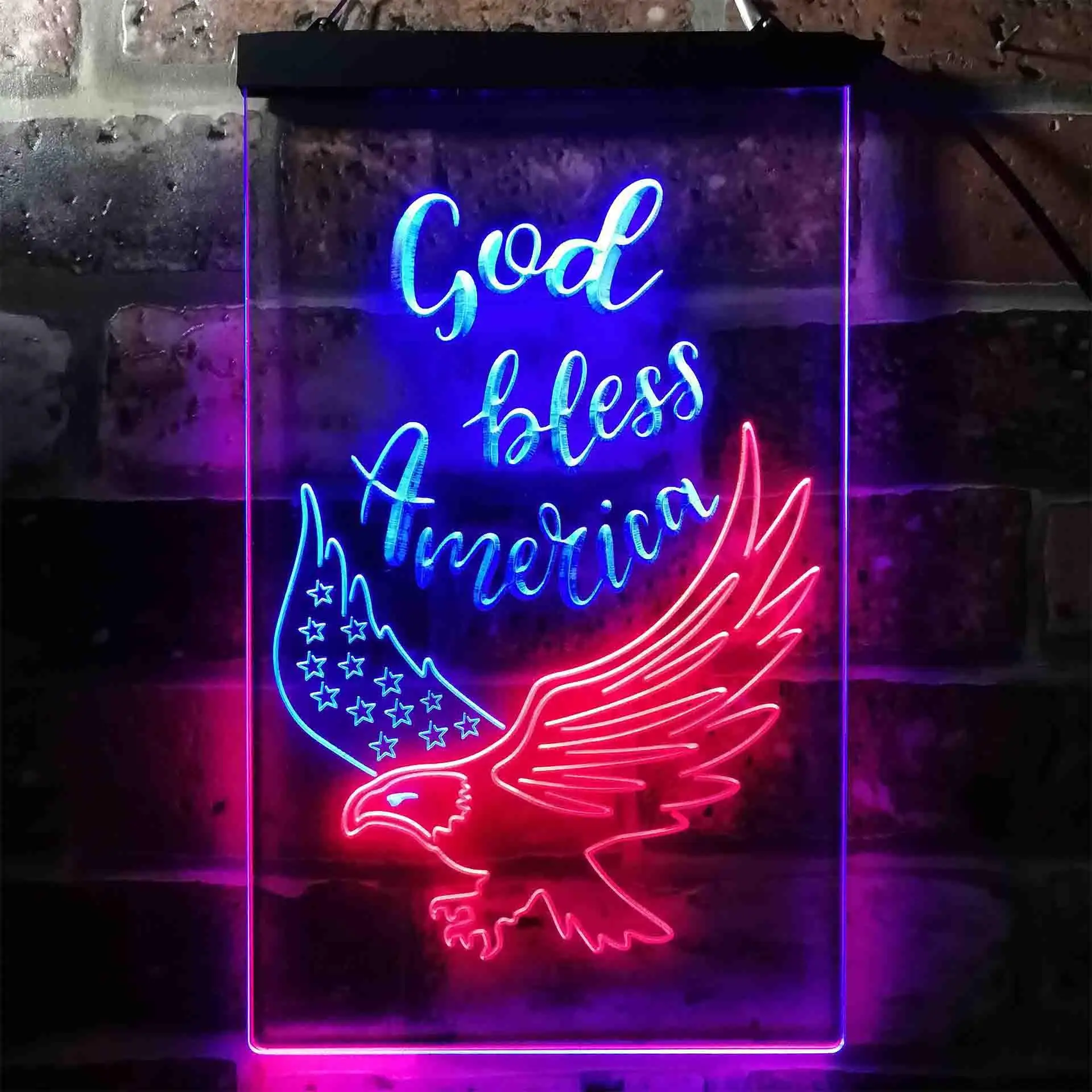 

God Bless America Eagle Living Room Decoration Dual-color LED Neon Sign st6-i3955