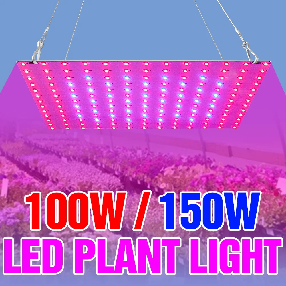 lampada-led-de-espectro-completo-150w-ac180-240v-quantum-board-para-cultivo-de-sementes-iluminacao-para-estufas-hortalicas-e-flores-em-ambientes-internos