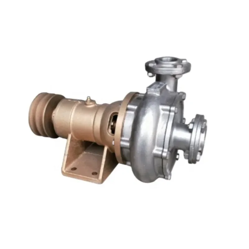 1 Inch Sea Water Pump  5 - 10A 501–1,000 GPH Stainless steel