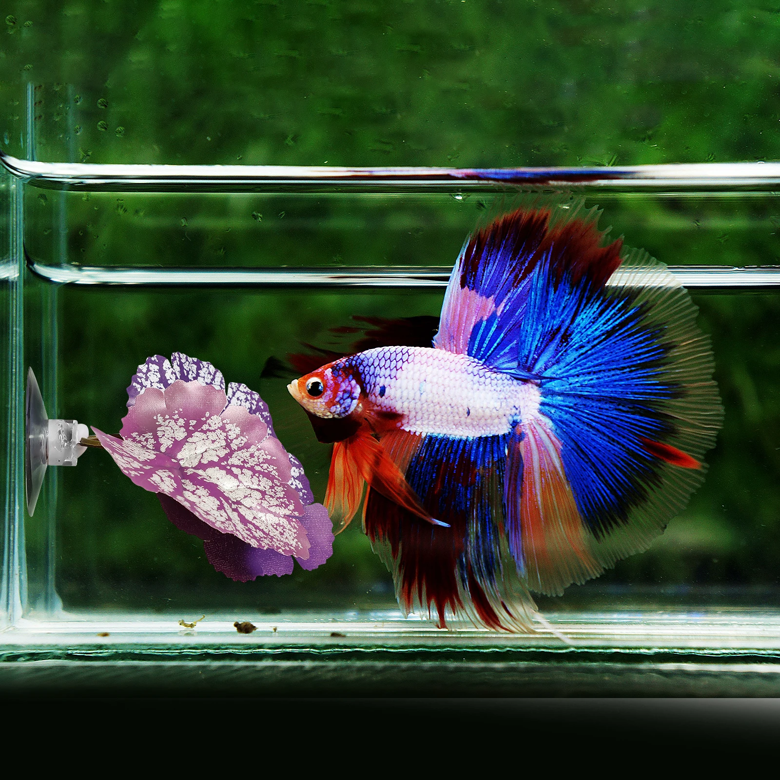 

2pcs Simulated Water Grass Decoration Aquarium Leaf Hammock Fish Tank Breeding Plant Habitat Plastic Suction Cup Durable Safe