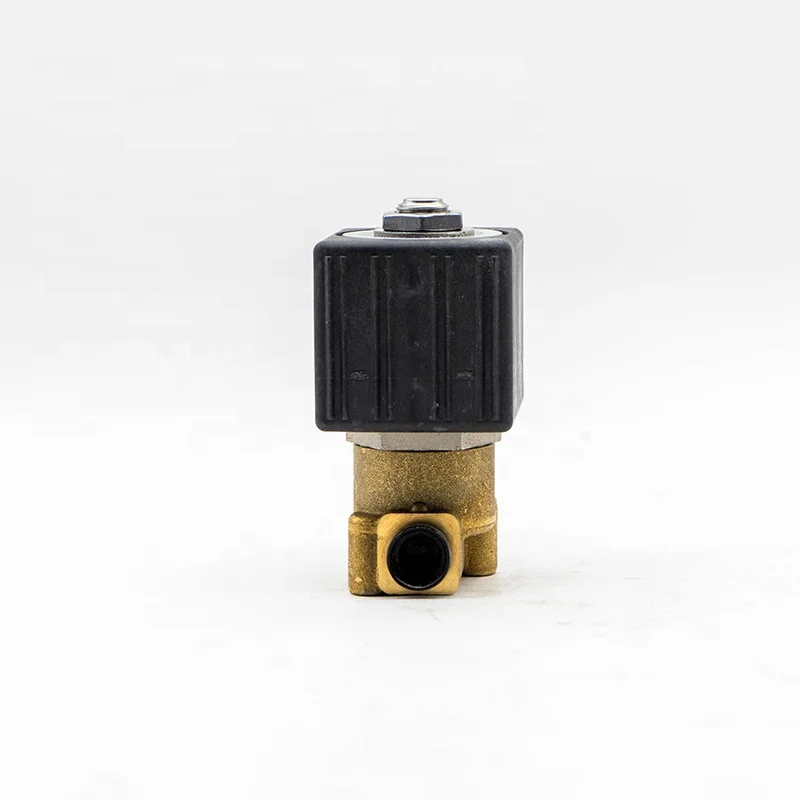 ZB09 Parti della caldaia dell'elettrovalvola del carburante Parker dagli Stati Uniti