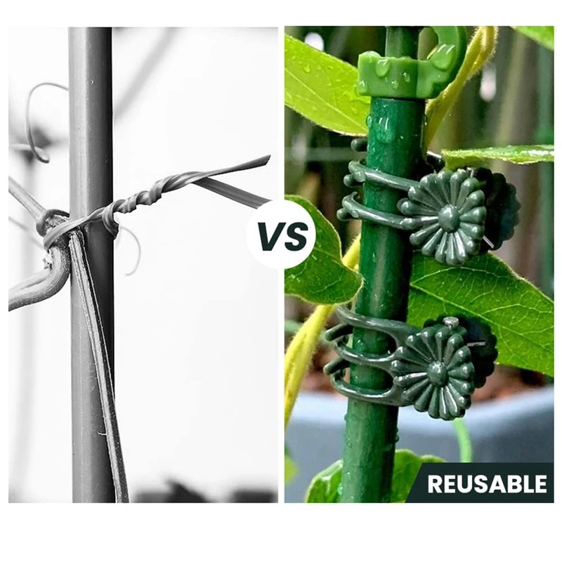 Orchid Clips Plant Support Clips, Secured Plastic Plant Clip Garden Tomato Plant Support Stems Vine Fixing Clips Easy To Use