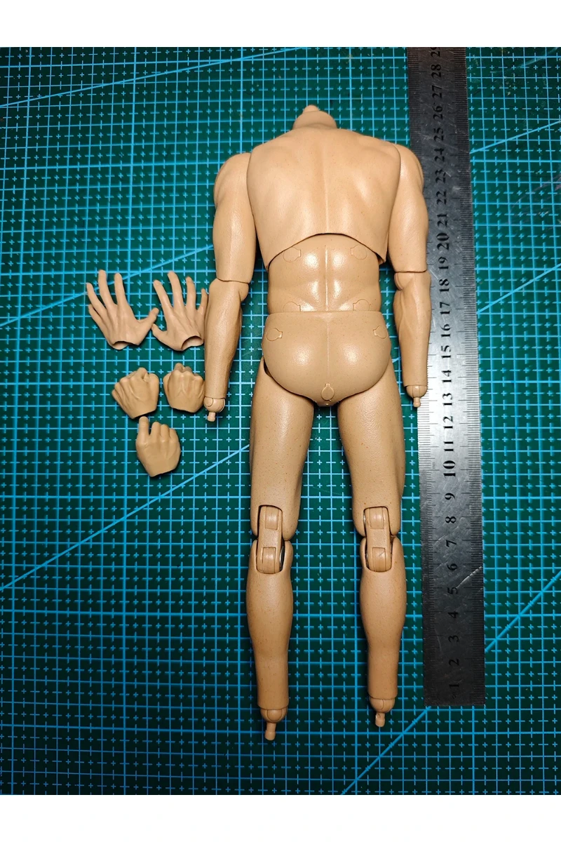 Cabeza de cuerpo fuerte a escala 1/6, modelo tallado de cabeza masculina compatible con figura de acción de 12 pulgadas, accesorio, muñecas de cuerpo muscular, juguetes, regalos para fanáticos