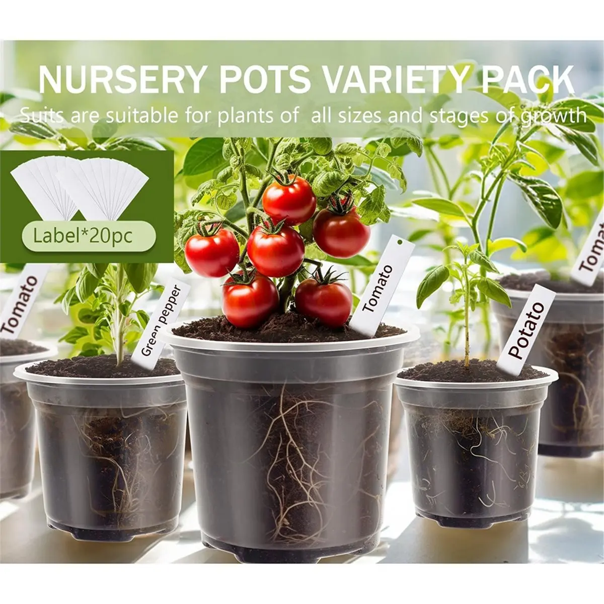 30 Packs Clear Nursery Pots for Plants, 3.5 4 5 Inch Transparent Plastic Seedling Pots with Drainage Holes and 20 Labels