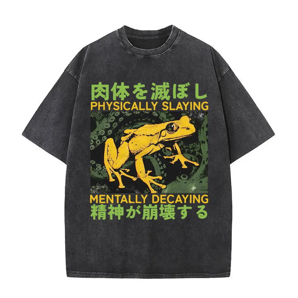 The Horrors Are Never Ending Yet I Remain Silly T-shirt Funny Japanese Style Frog Retro Washed T Shirt Men's Oversized T-shirts