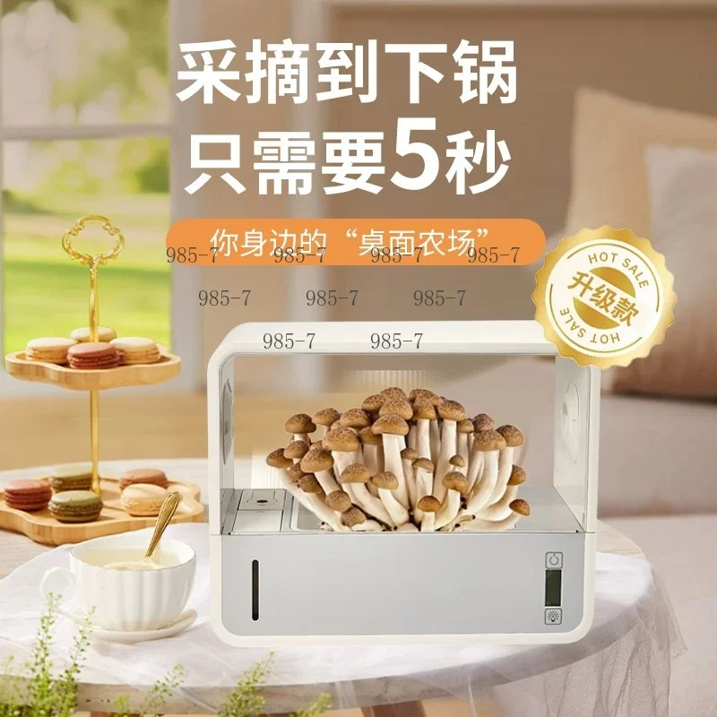 Smart Indoor Shiitake Mushroom Cultivation Box, Home Ecological Growing Kit