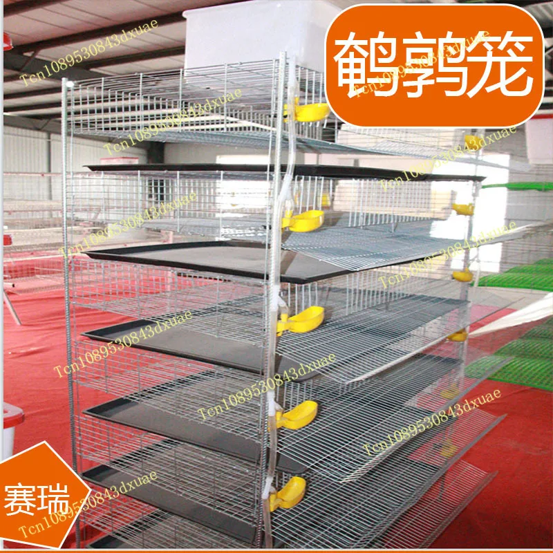 Automatic quail cage for egg collection, breeding equipment for pigeons, bird cage farms for farmers