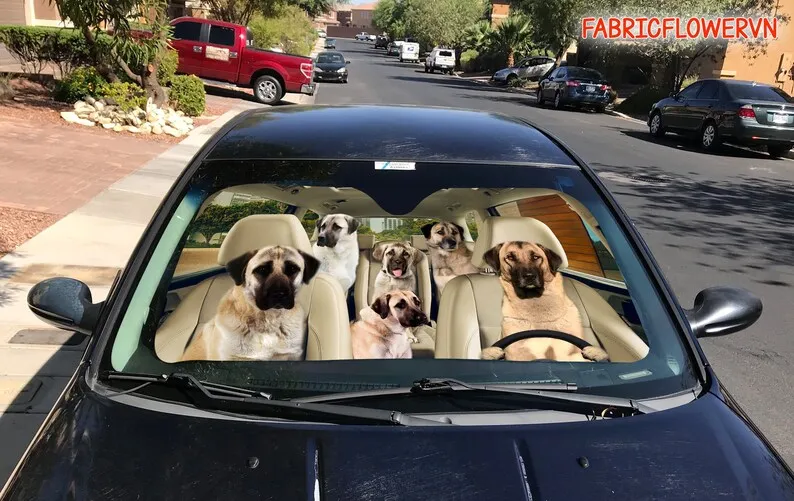 Anatolian Shepherd Car Sunshade, Anatolian Shepherd Car Decoration, Dog Windshield, Dog Lovers, Dog Car Sunshade, Gift For Mom,