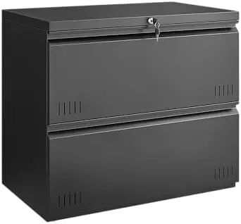 2 Drawer File Cabinet, File Cabinets for Home Office, Printer Stand, File Cabinet with Lock, Lateral Filing Cabinet for