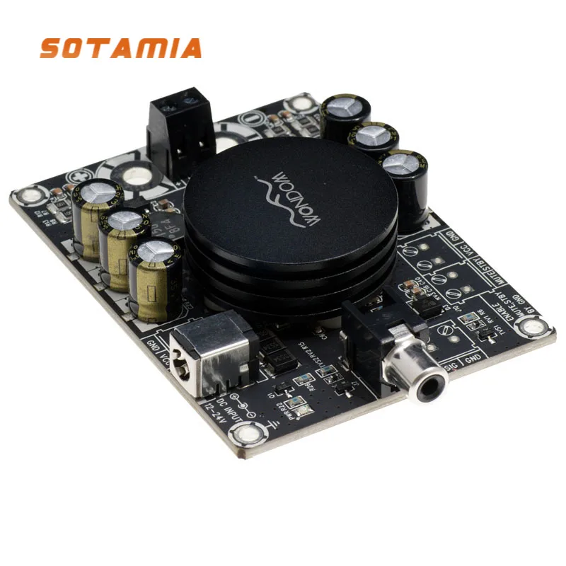 

SOTAMIA TPA3116 Full Range Speaker Digital Power Amplifier 100W High Power Mono Subwoofer Amplifier Audio Board Amplificador