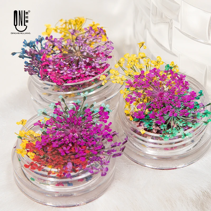 1 Box 12pc Dried Nail Flowers Mixed Color Lace 3D Dried Nail Flowers Nail Art Accessories DIY Manicure Dry Flower Nail Designs