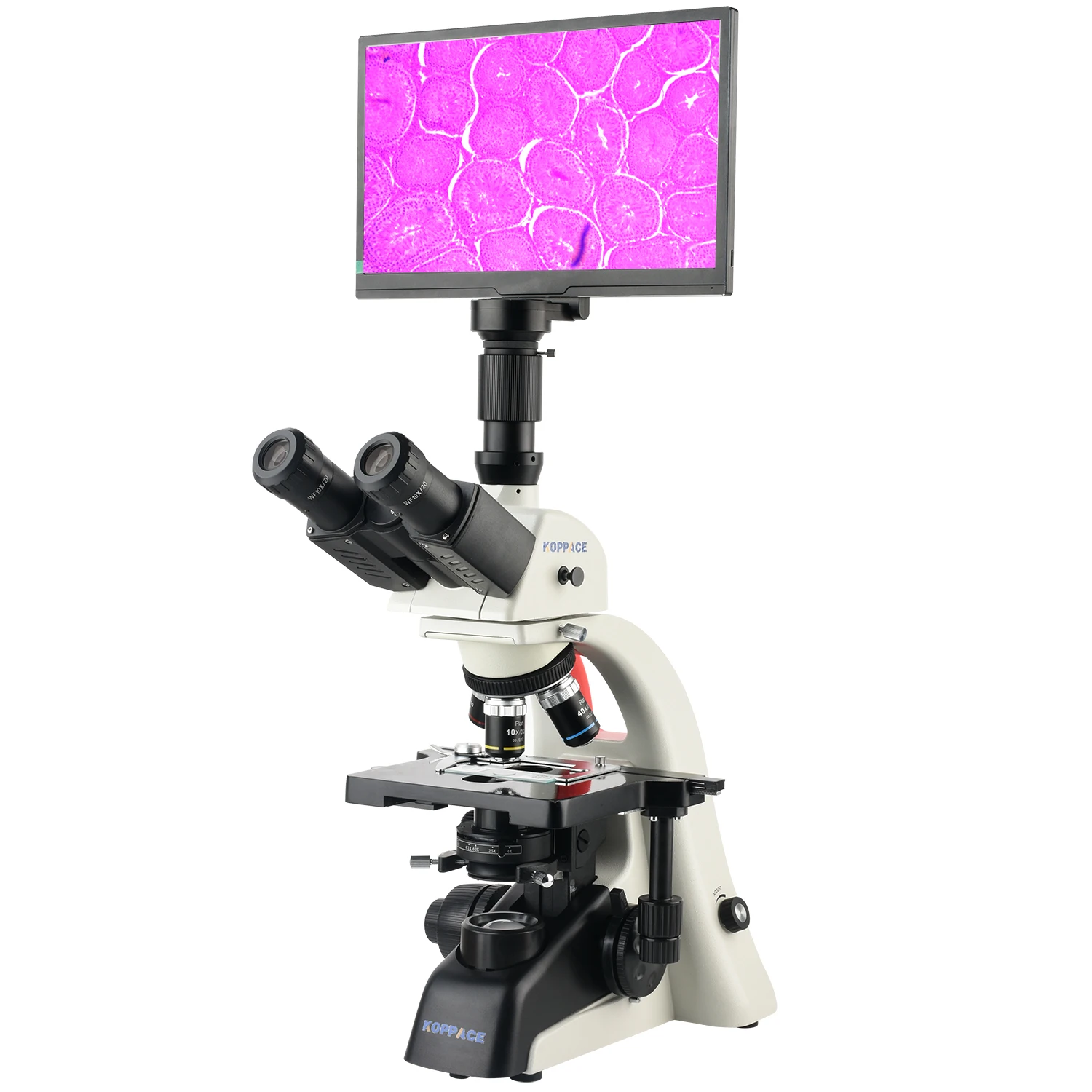 Koppace 40X-1600X E… - image